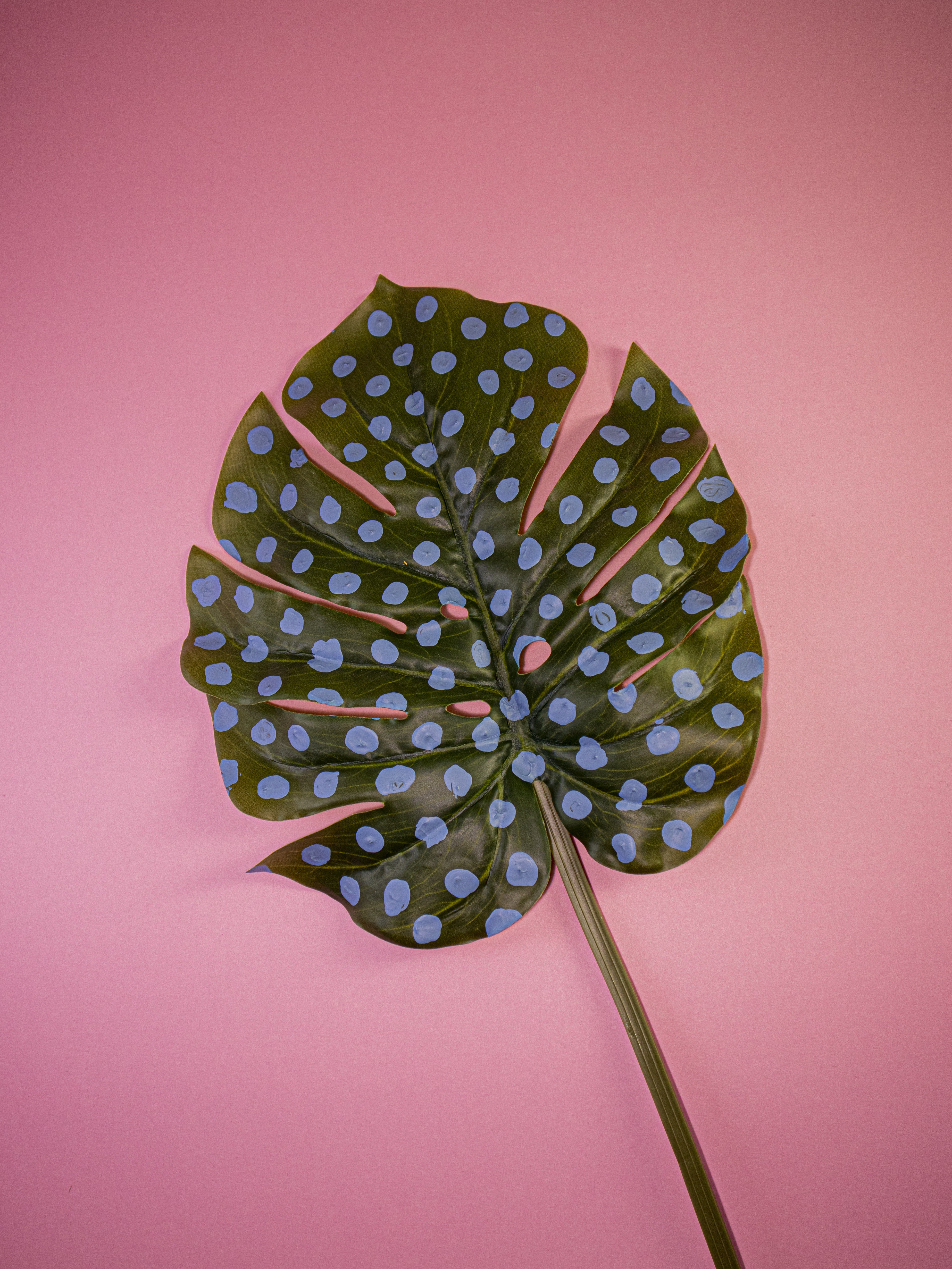 green leaf with blue dots of paint on leaf with pink background